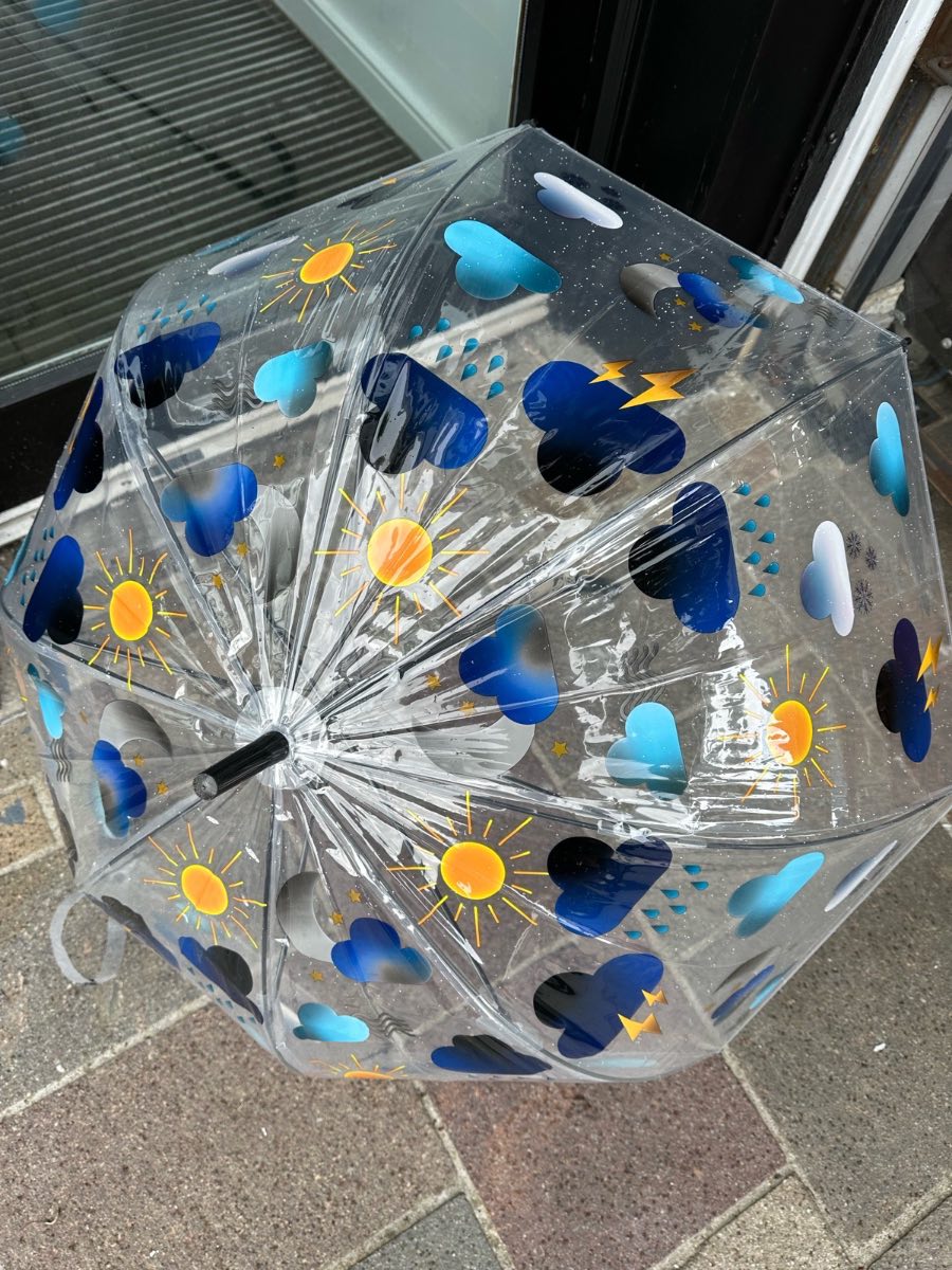Transparent weather design adult umbrella