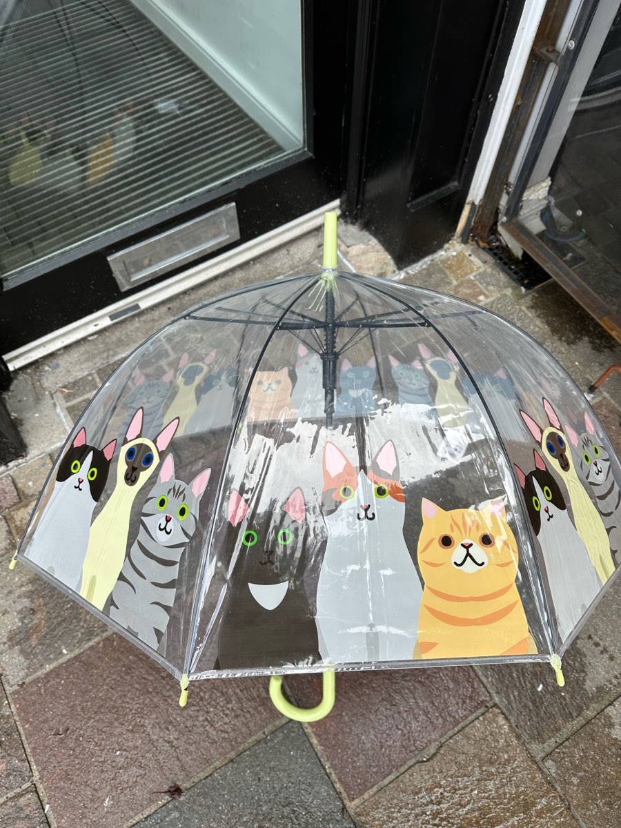 Transparent cats design adult umbrella
