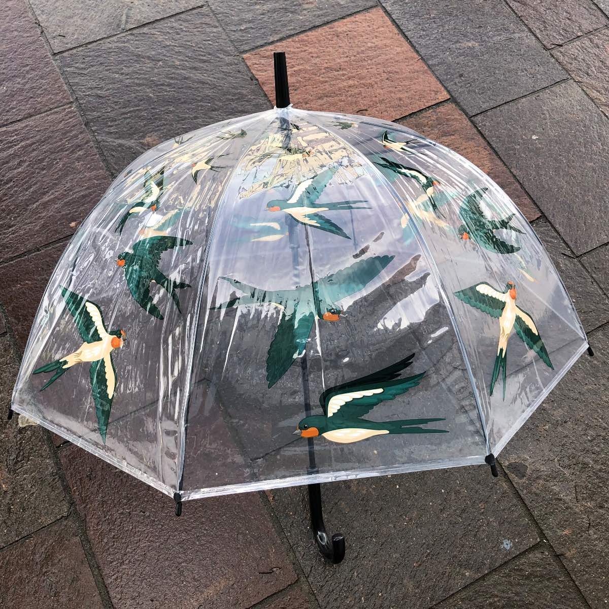 Umbrella adult swallows flying design