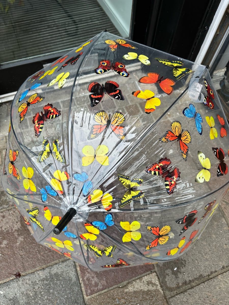 Transparent butterfly adult umbrella