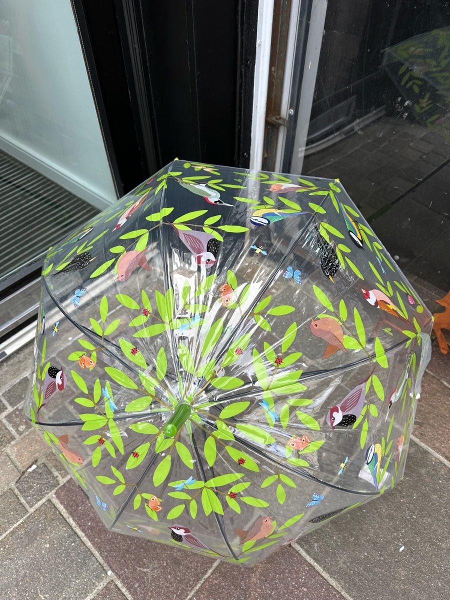 Garden birds transparent adult umbrella