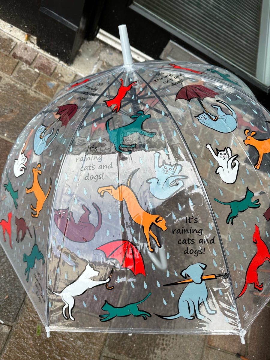 Transparent it’s raining cats and dogs adult design umbrella