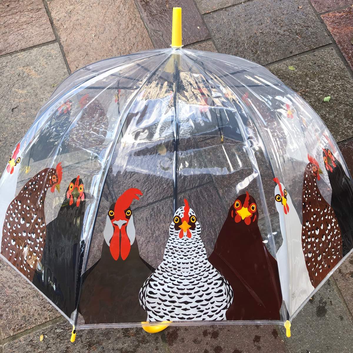 Umbrella adult hen design