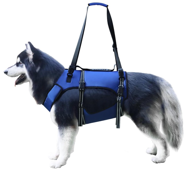 Dog Lift Support Harness Adjustable Rehabilitation Sling for Mobility Assistance