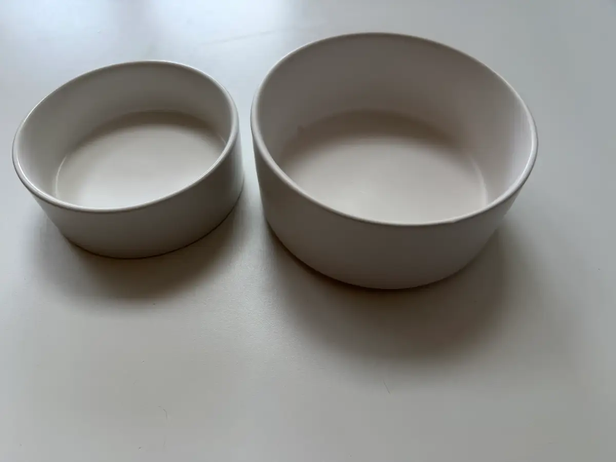 White Ceramic Round Cat Bowl Set 2,Cat Food Dish Cat Food or Water Bowl