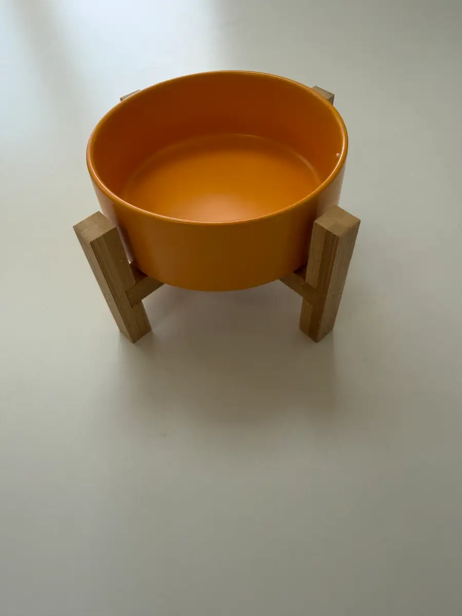 Yellow Ceramic Elevated Raised Cat Bowl, Cat Food Dish with Stand