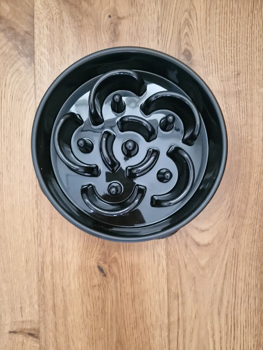 Slow Feeder Dog Bowls 4 Large Breed Anti-Choking Healthy Eating