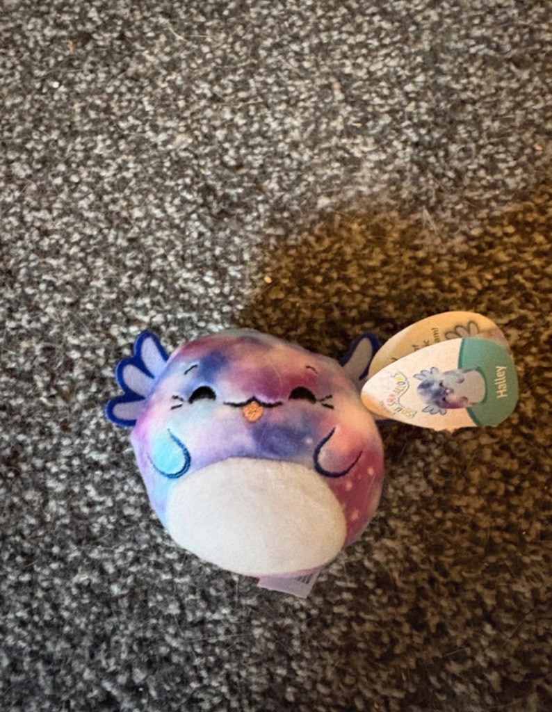 Squishmallow