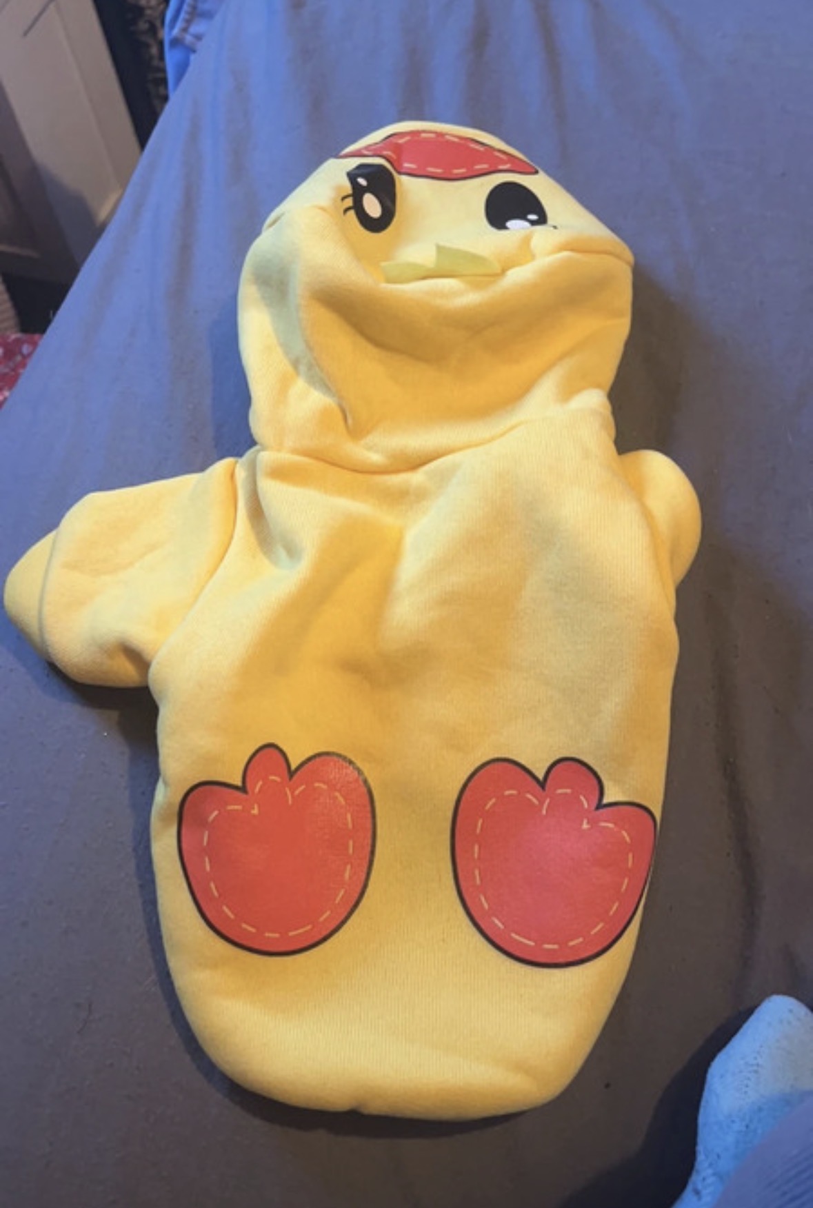 Pet Duck Costume