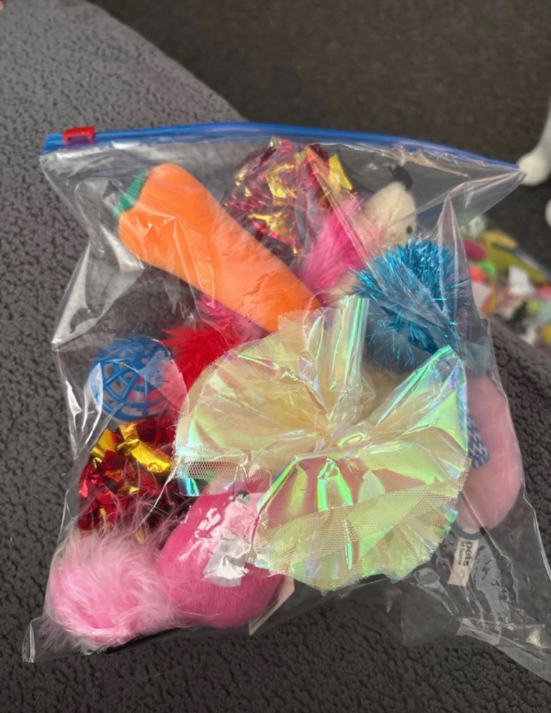 Cat Toy Bundle