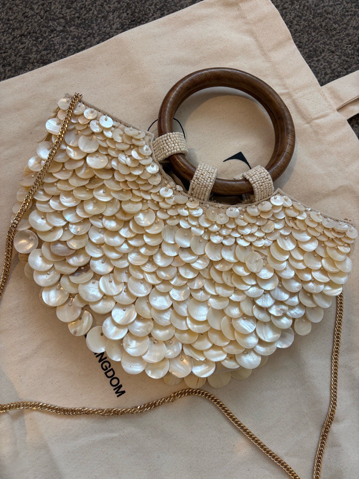 Zara viral shell gold chain bag