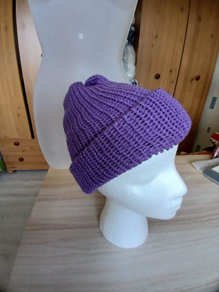 Beanie hat purple