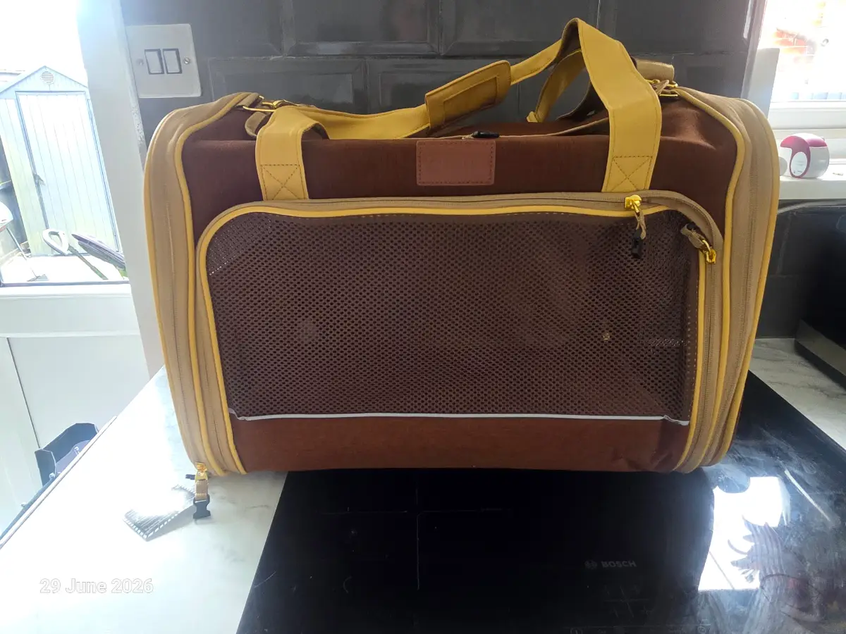 Foldable Pet Carrier