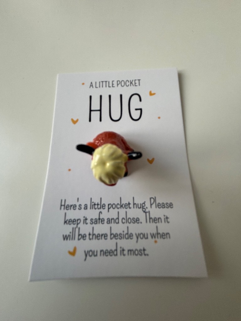 Highland Cow Pocket Hug - Brand New & Sealed!!