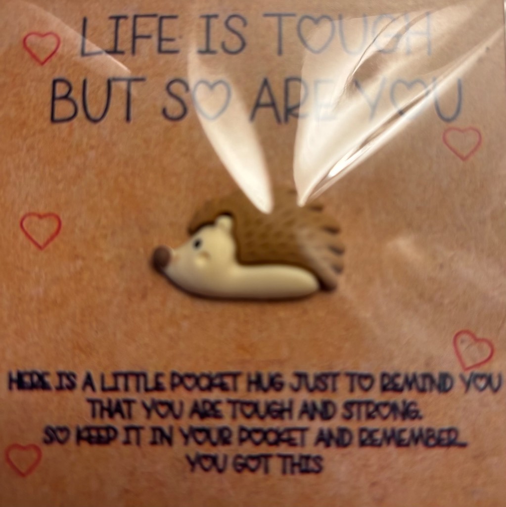 Hedgehog Pocket Hug - Brand New & Sealed!!
