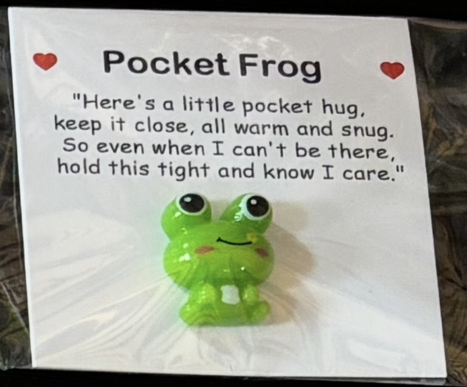 Frog Pocket Hug - Brand New & Sealed!!