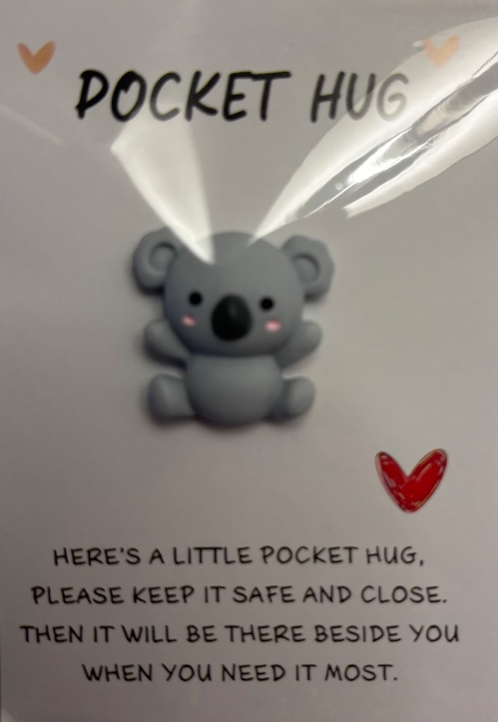 Koala Pocket Hug - Brand New & Sealed!!