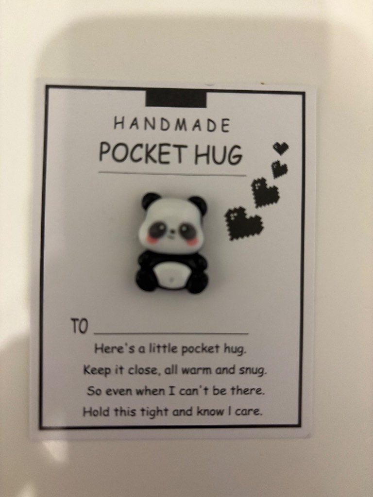 Panda (Large) Pocket Hug - Brand New & Sealed!!