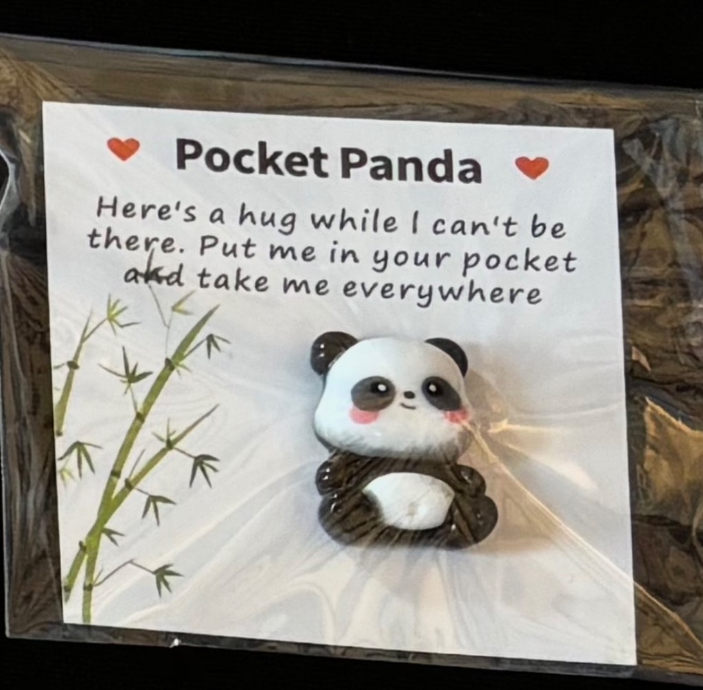 Panda Pocket Hug - Brand New & Sealed!!