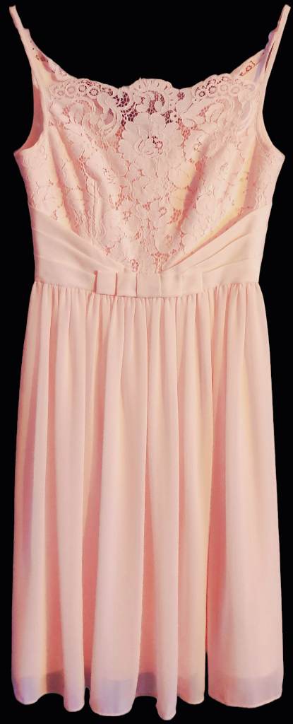 BNWT Ted Baker Ladies Women's Mimee Baby Pink Lace Bodice Tutu Dress - Size 10