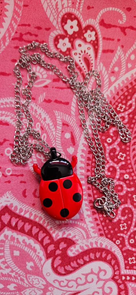 Oepnable Y2K punk lady bug lady bird Pocket watch with long chain locket
