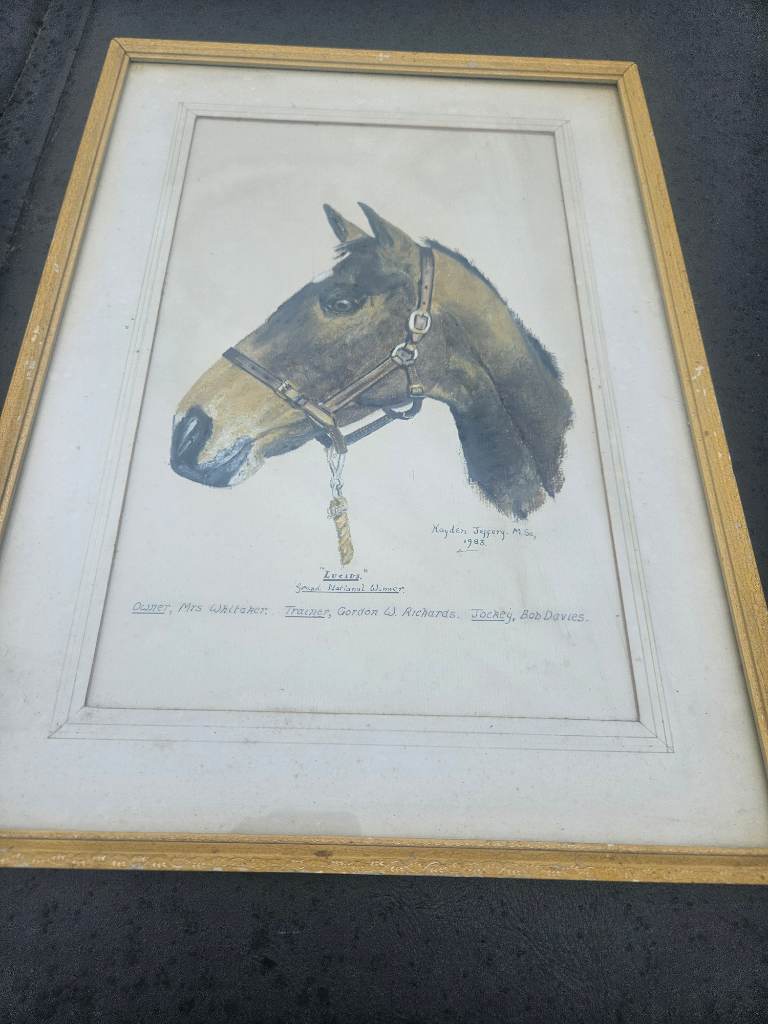 Vintage horse head watercolour framed picture