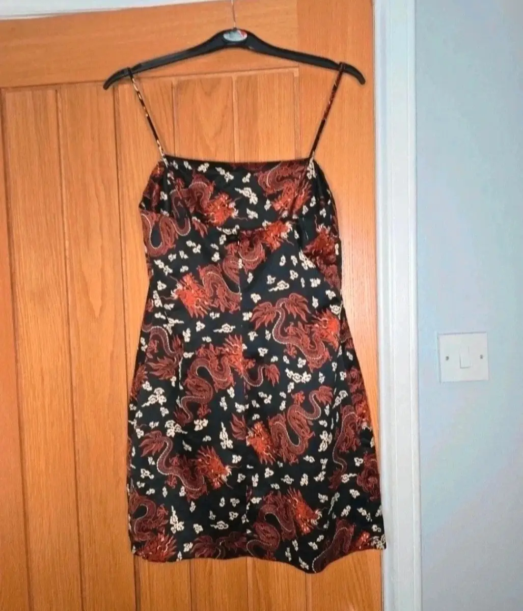 Zara Size Small Mini Dragon Design Dress - Brand New
