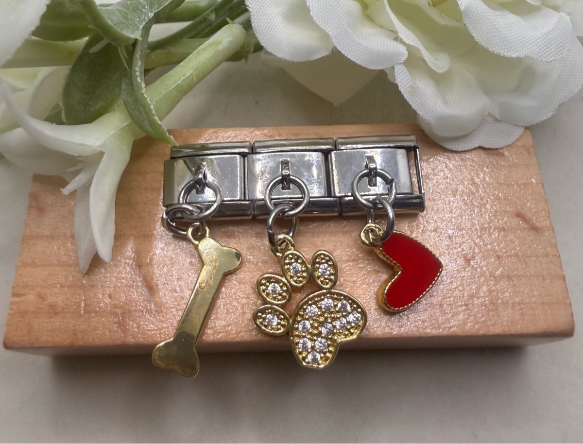 Stainless steel 3 link charm