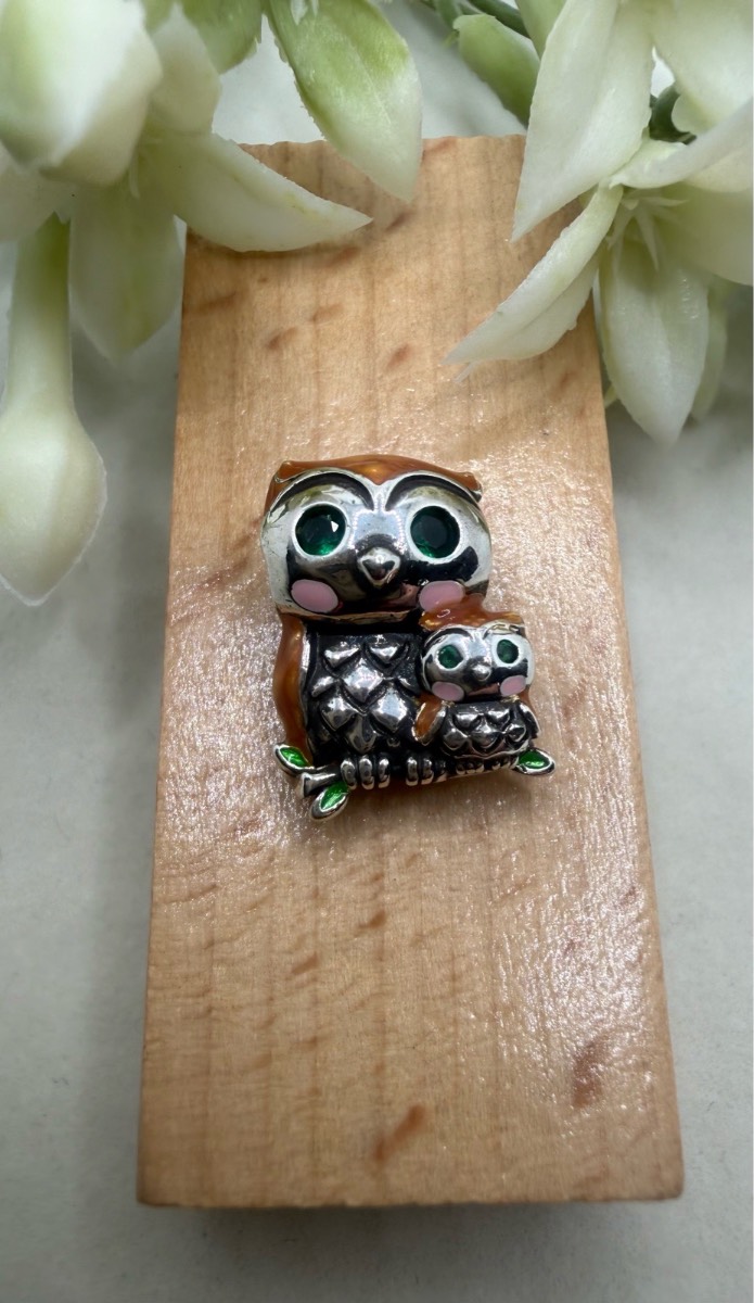 Sliver plated enamel owl charm