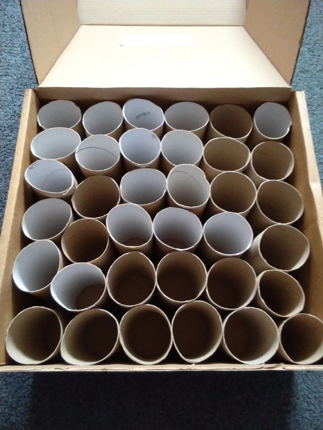 36 x Cardboard tubes for crafting / gardening