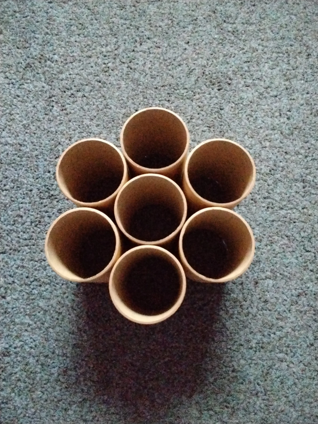 Cardboard tubes for crafting / gardening