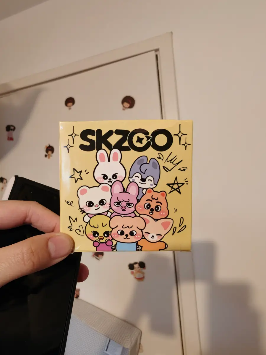 100 pcs waterproof SKZOO stickers new