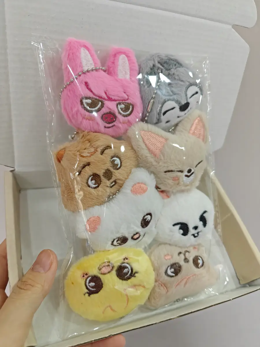8 pcs Skzoo teddy keychain Stray kids Kpop band