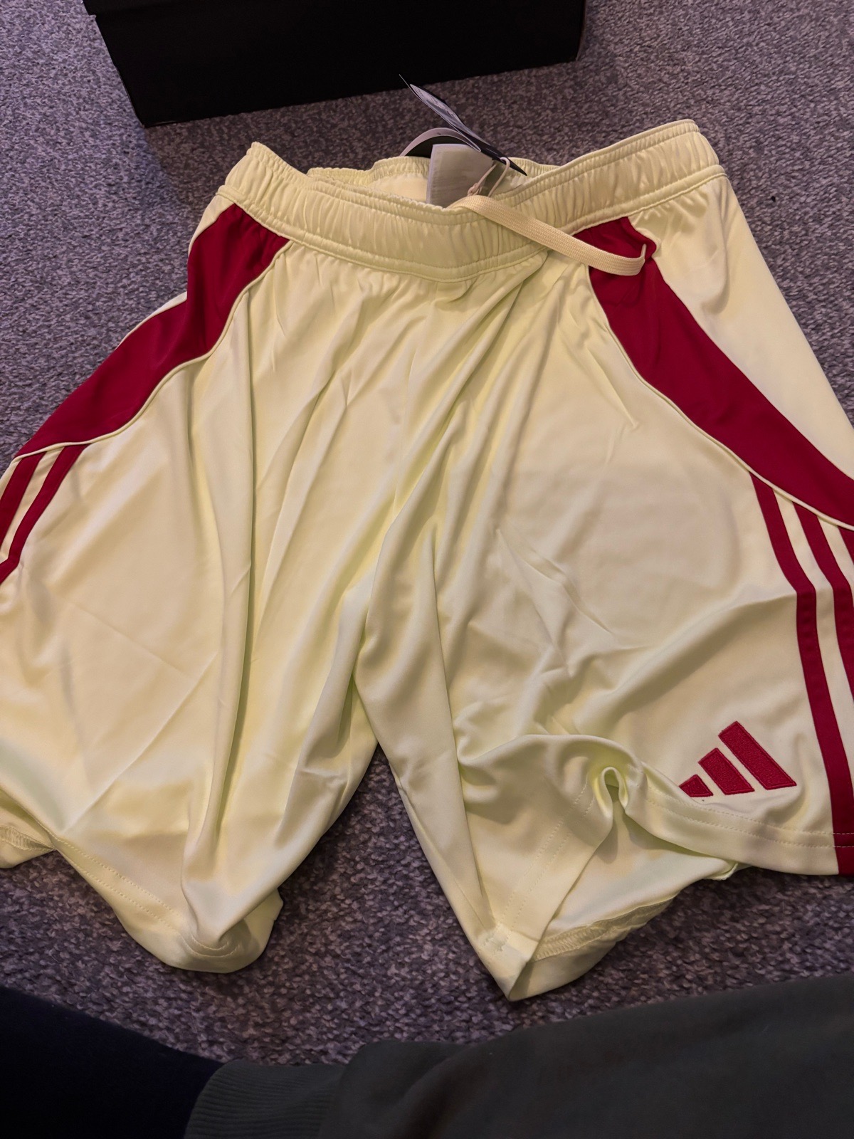 Adidas shorts medium