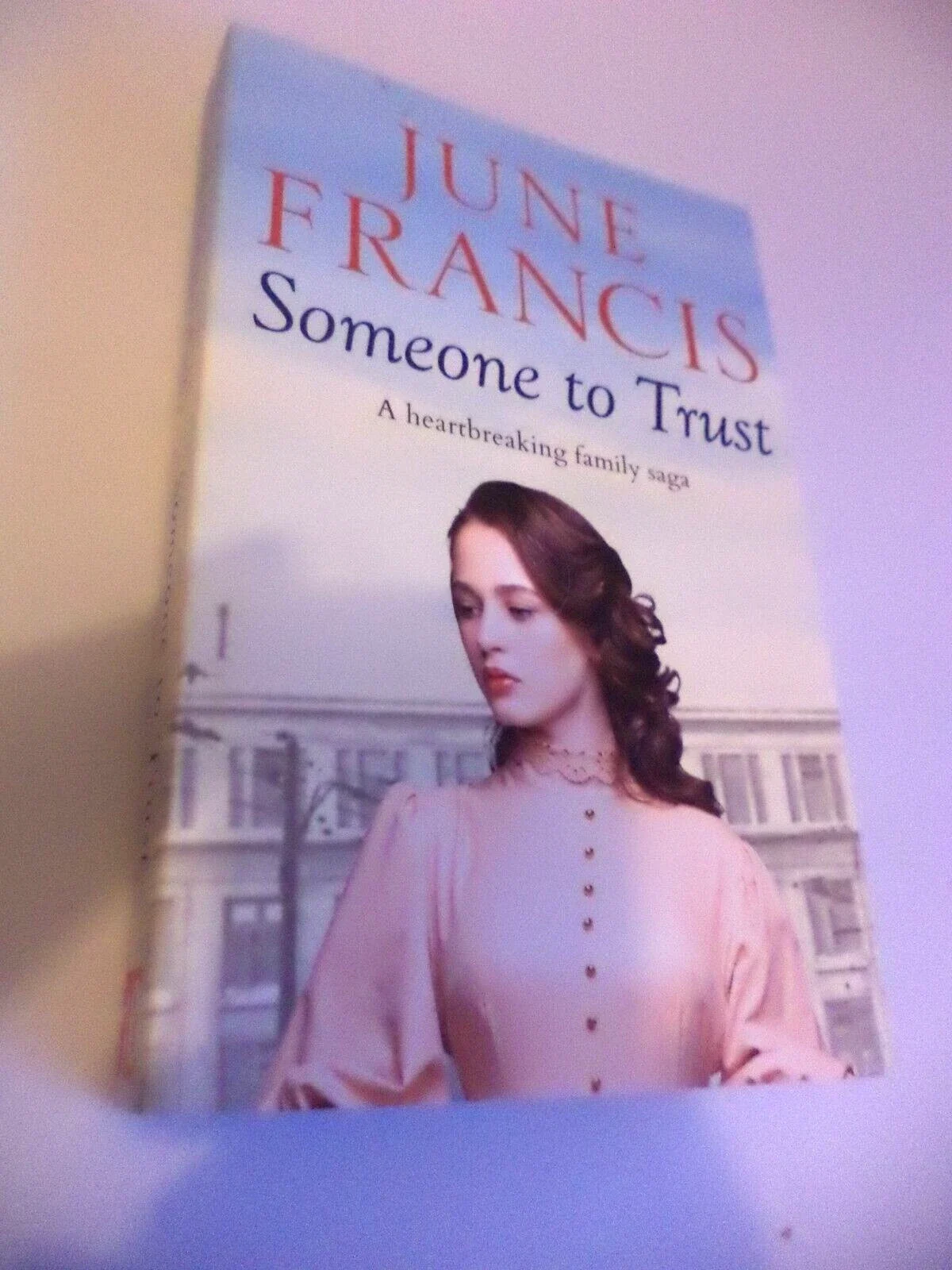 NEW PAPERBACK June Francis Someone To Trust historical fiction novel book ira