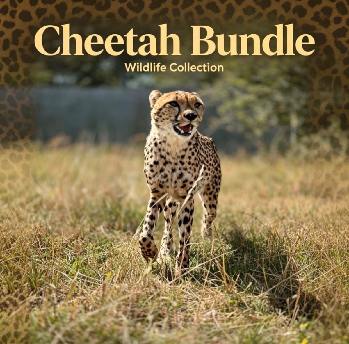 Cheetah Bundle