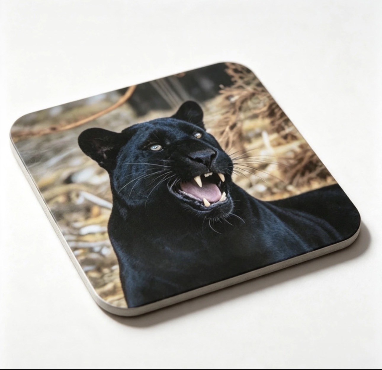 Black Leopard Coaster | Original PhotosByJess Nature Print