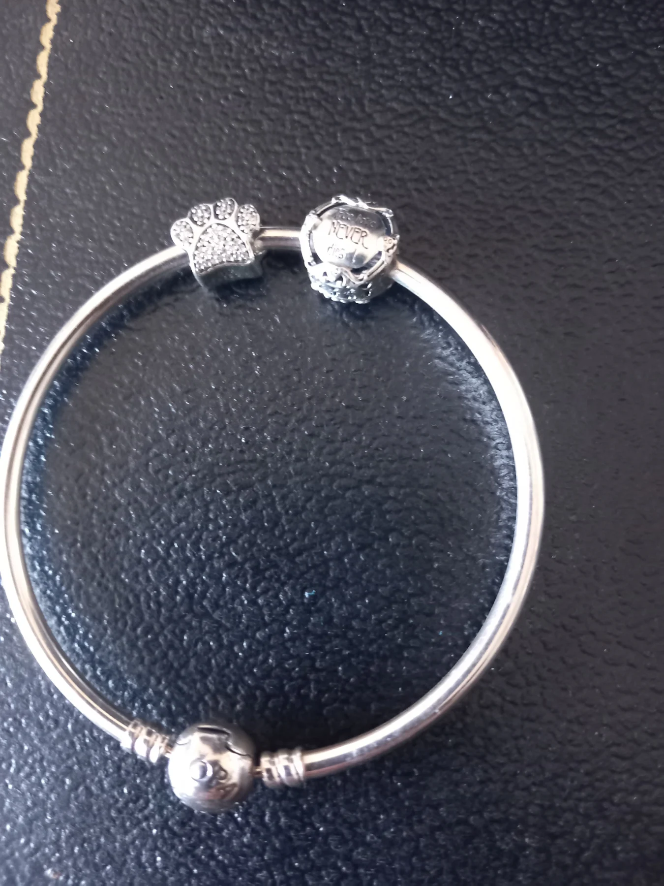 Pandora bangle