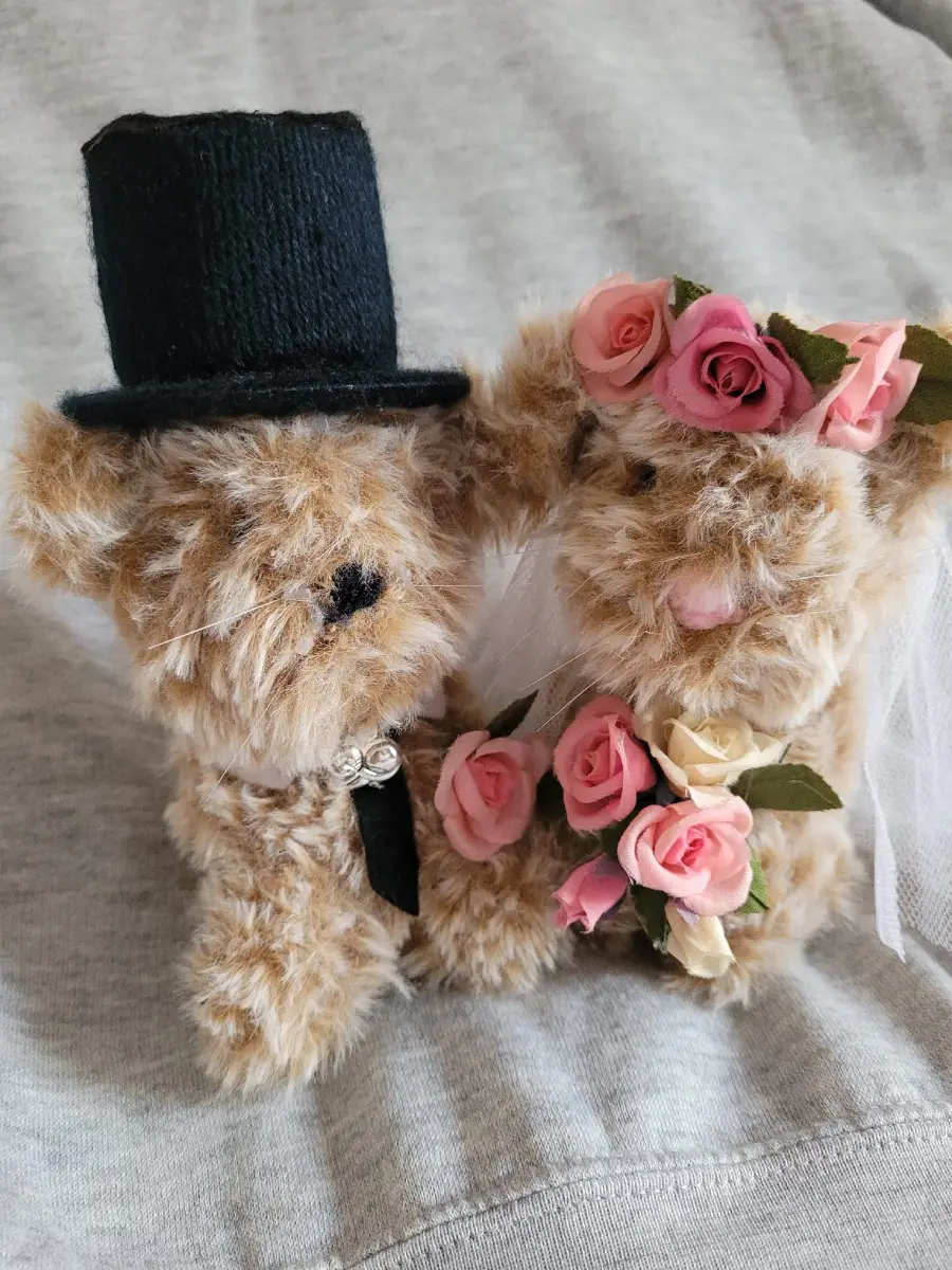Handknitted Bride and Groom Cats