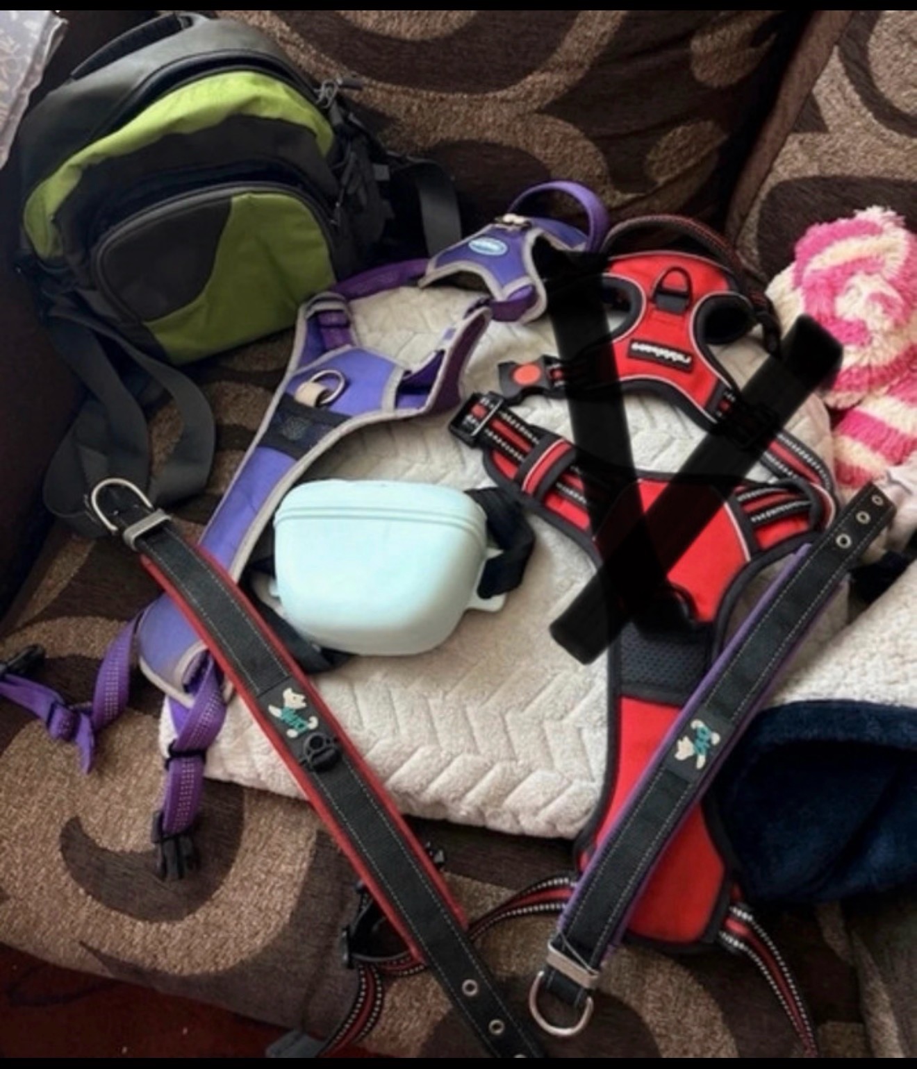 Dog Bundle 2 collars (M) 1 Harness (Size M) Bags/ Treat Pouch.