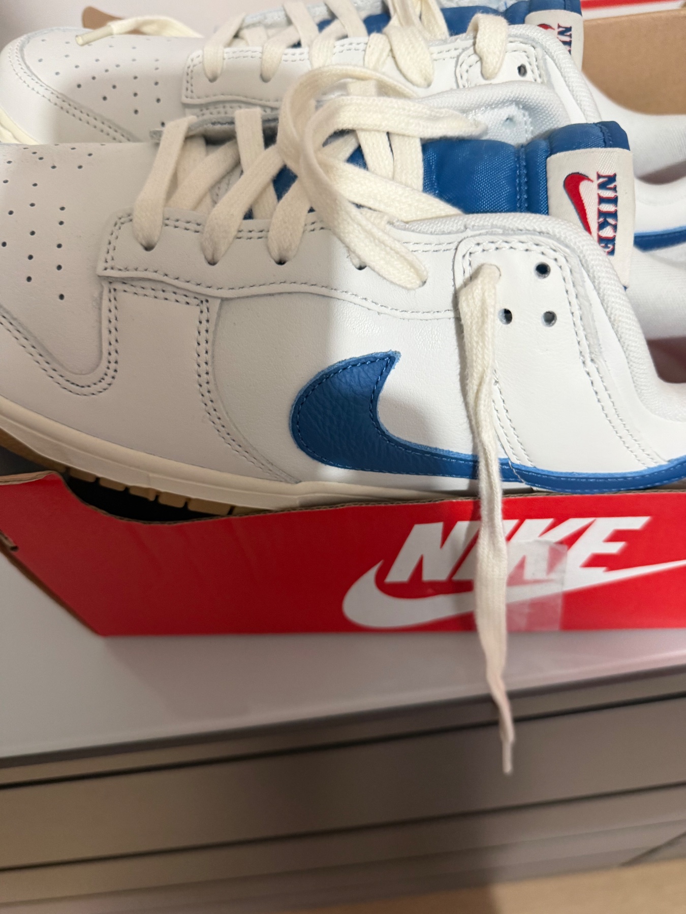 Nike dunks