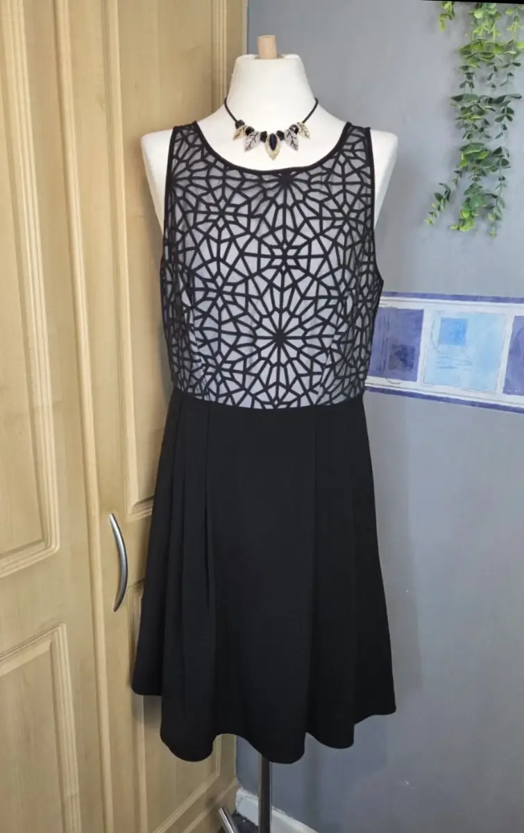 George Sleeveless Black Skater Dress Cobweb Style Size 14