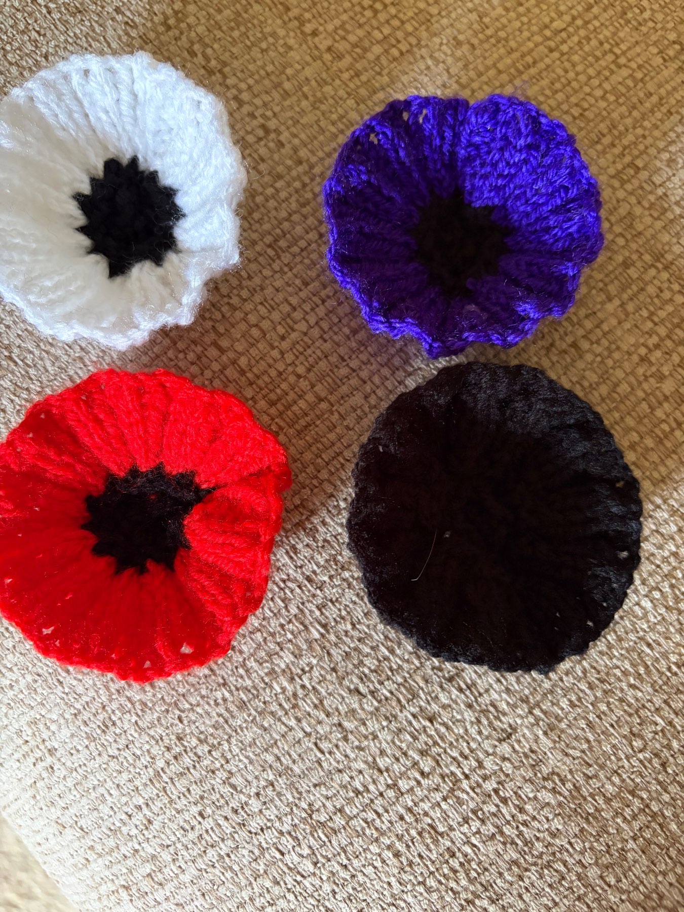 Remembrance Poppies