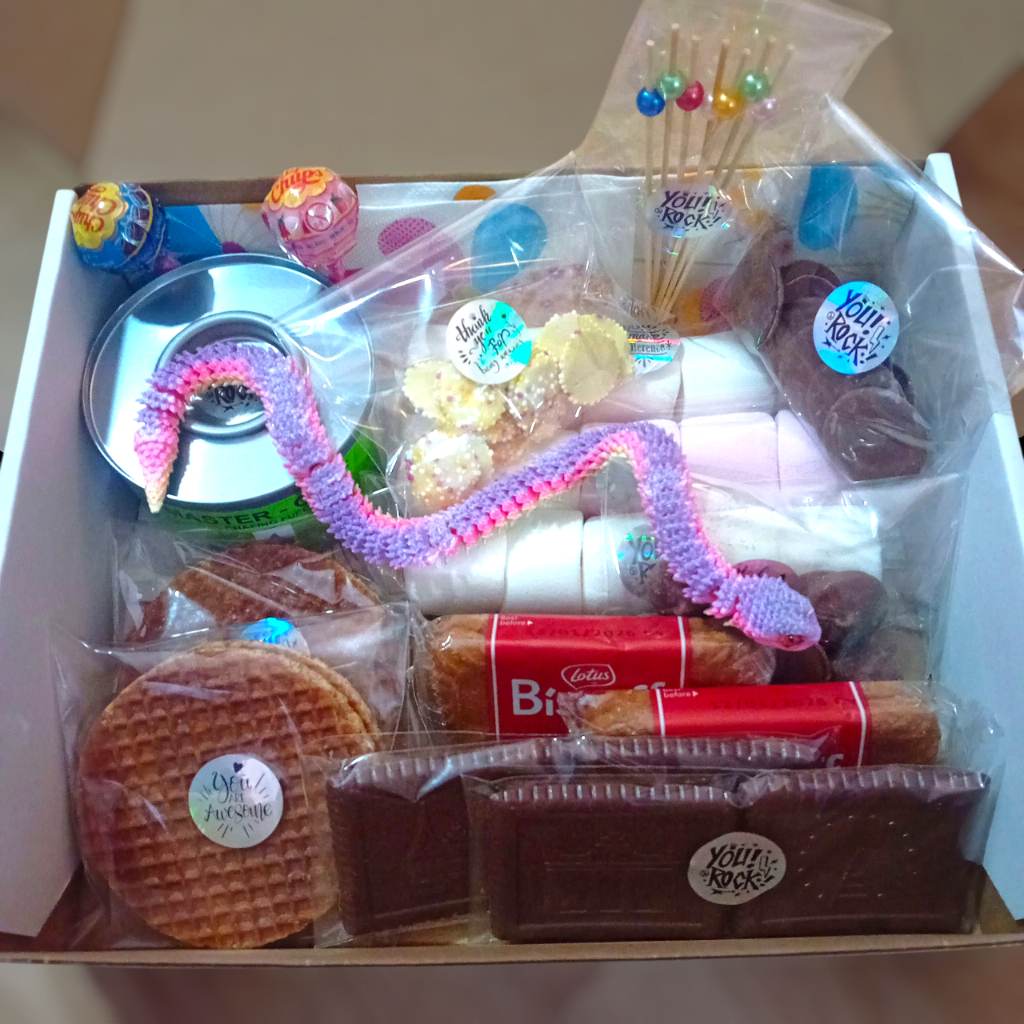 Kids smores toasting kit with free toy