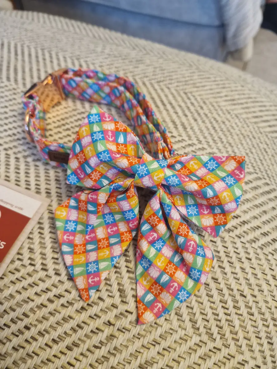 Lionet paws bow collar