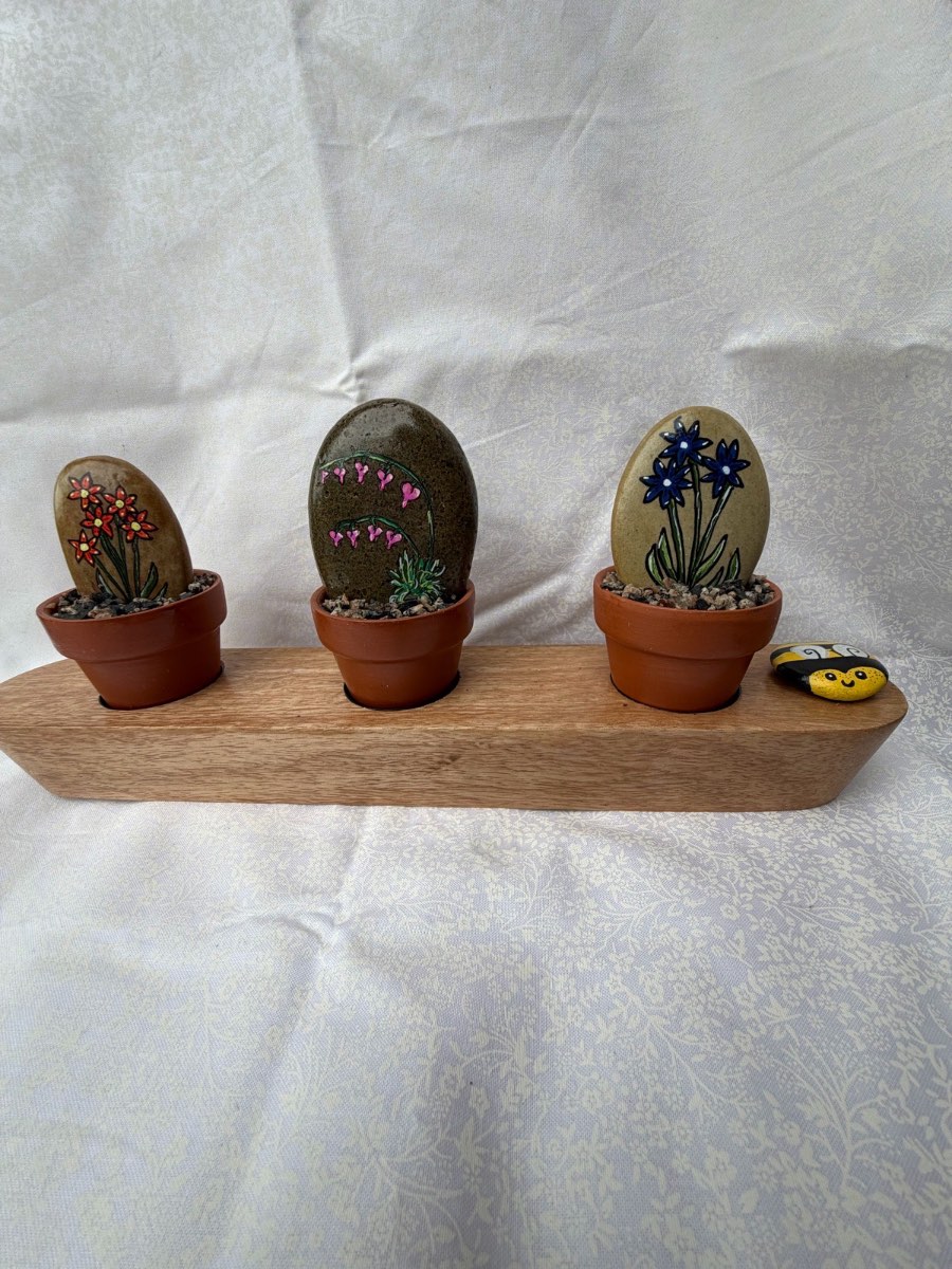 Hand Painted Flower Pebbles in 5cm Terracotta Pots in a wooden Base | Handmade Decor / Uniqe Gift