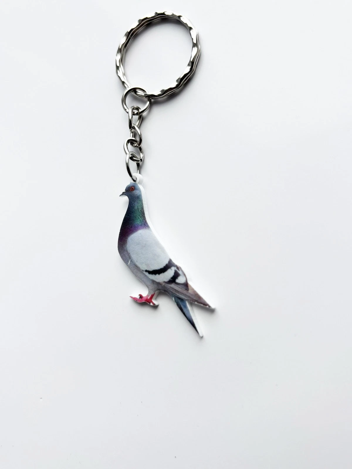 Share Pigeon Silver Keyring / Keychain Novelty Funny NY Bird