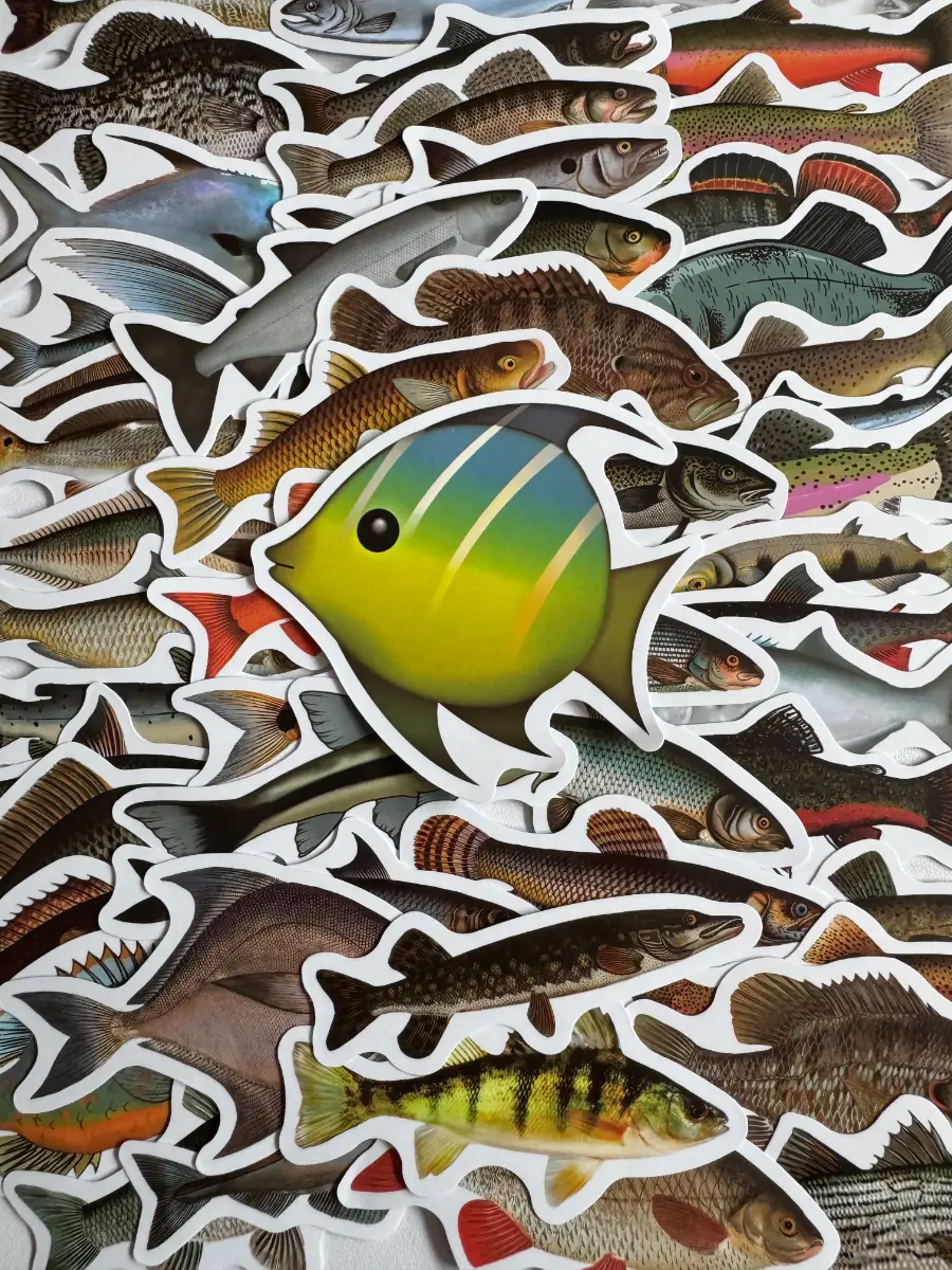 50 Fish Stickers Freshwater & Saltwater Fishing Ocean Aquarium Animal (B12)