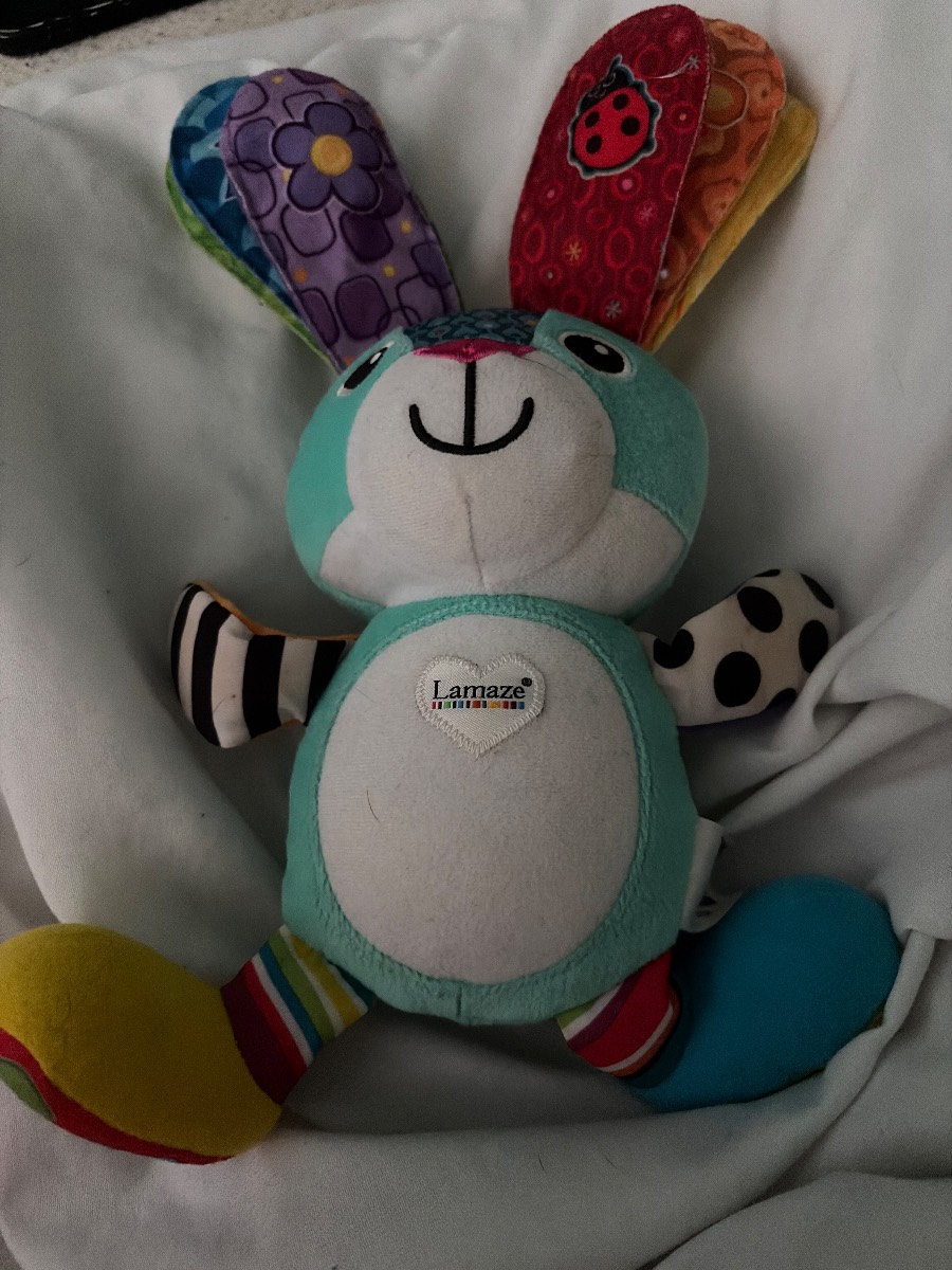 Sonny the glowing bunny toy