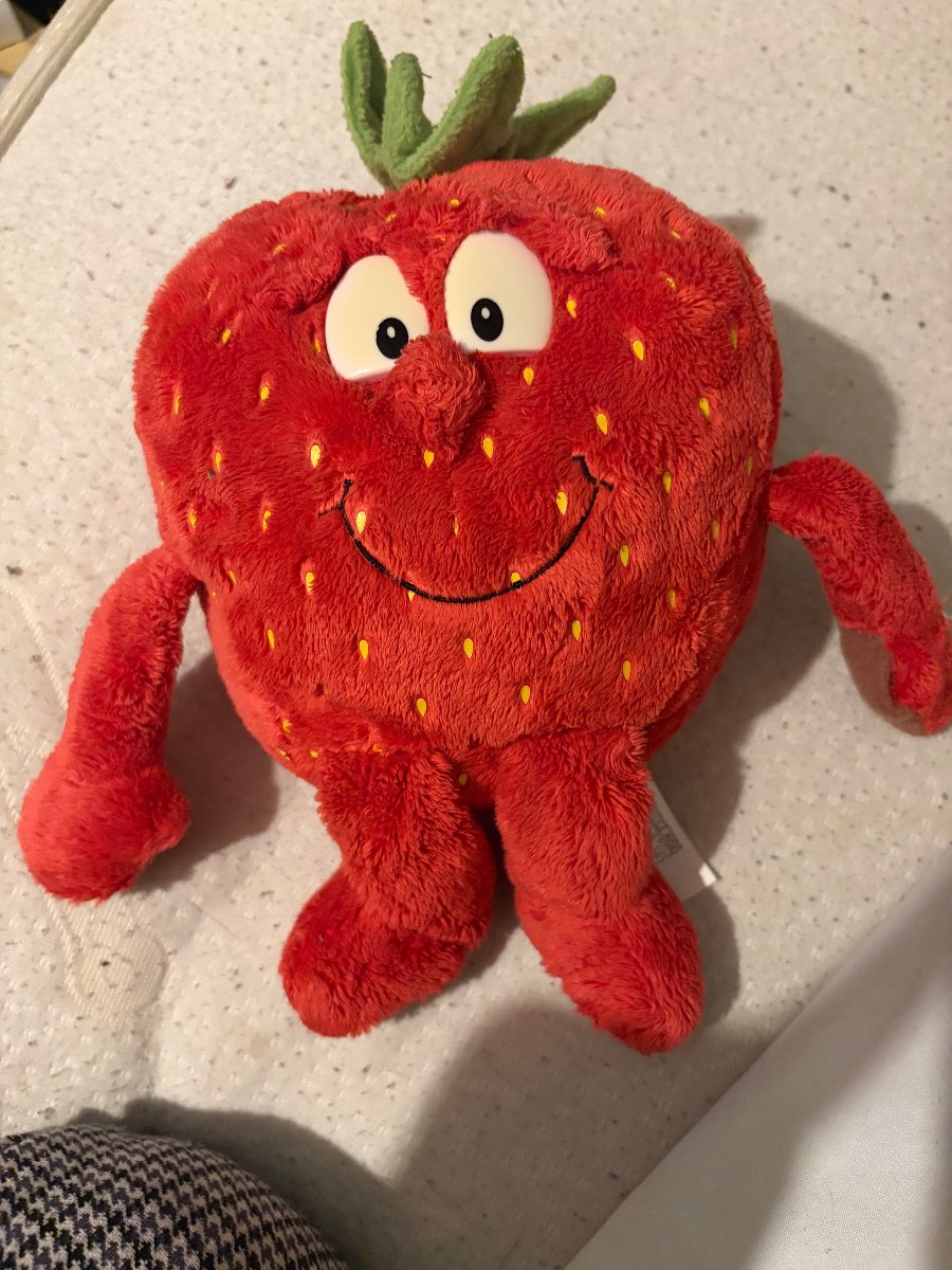 Strawberry teddy